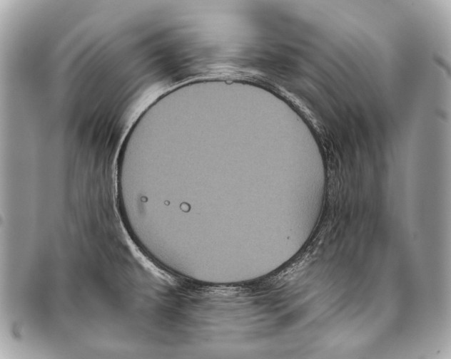 X0000096401479200802141507