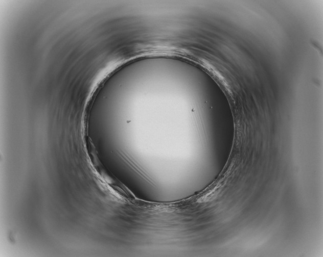 X0000096401480200802141507