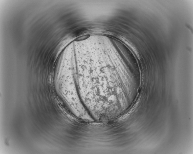 X0000096401481200802141507