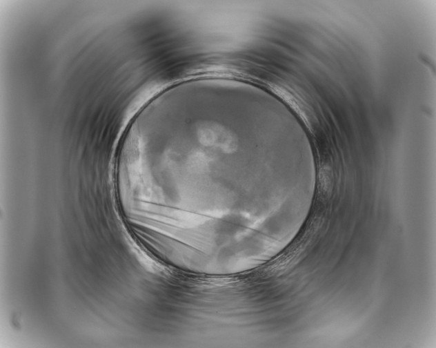 X0000096401482200802141507