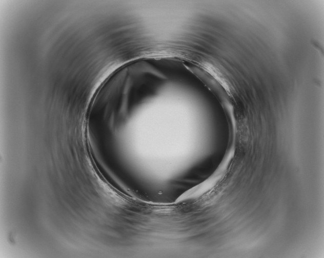 X0000096401484200802141507