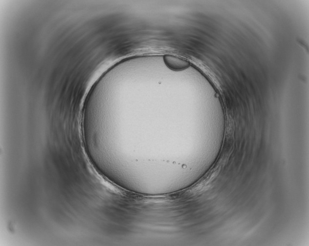 X0000096401486200802141507