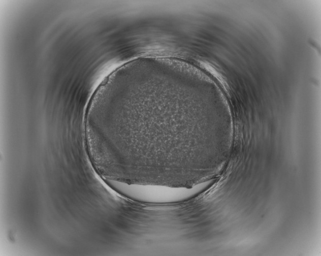 X0000096401487200802141507