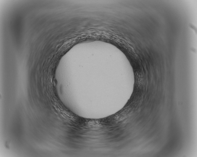 X0000096401489200802141506