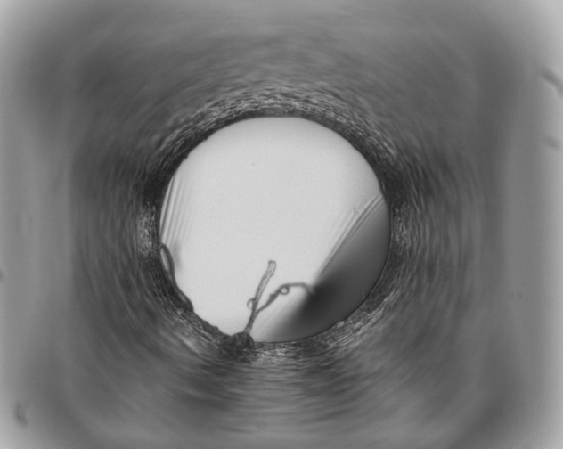 X0000096401490200802141506