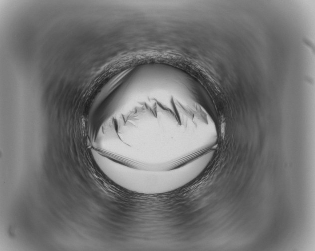 X0000096401492200802141506