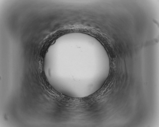 X0000096401493200802141506