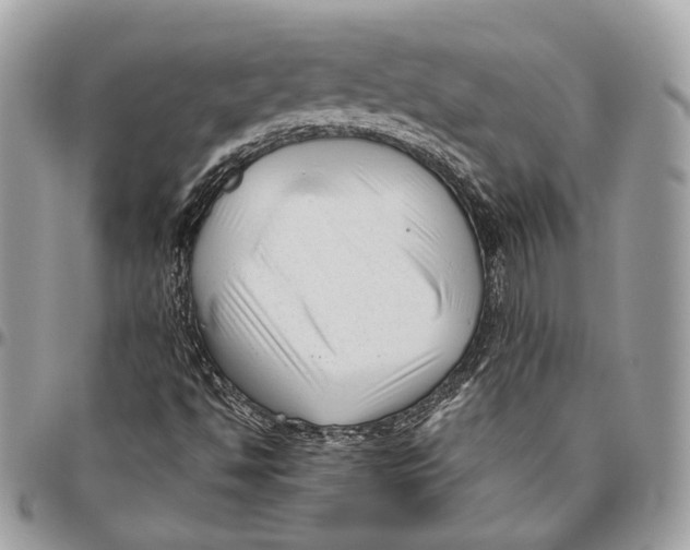 X0000096401494200802141506