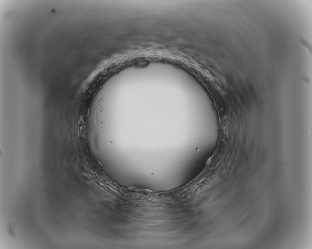 X0000096401495200802141506