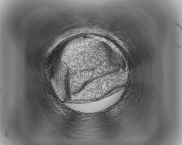 X0000096401496200802141506