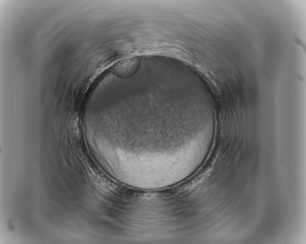 X0000096401497200802141506