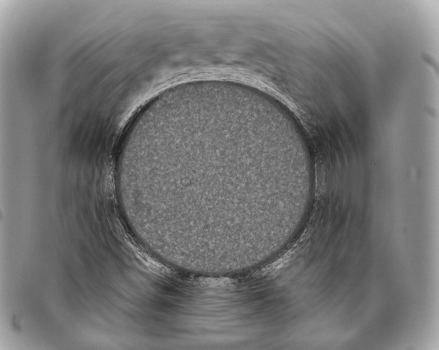 X0000096401498200802141506