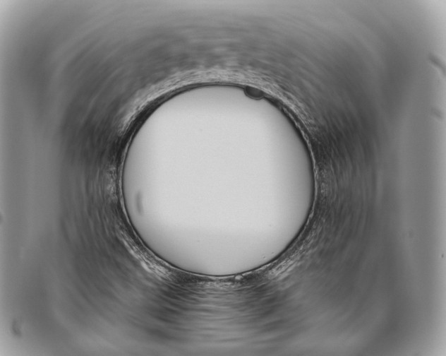 X0000096401499200802141506