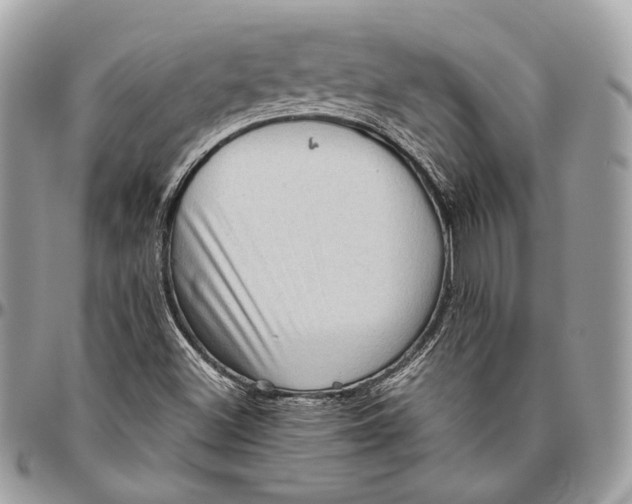 X0000096401500200802141506