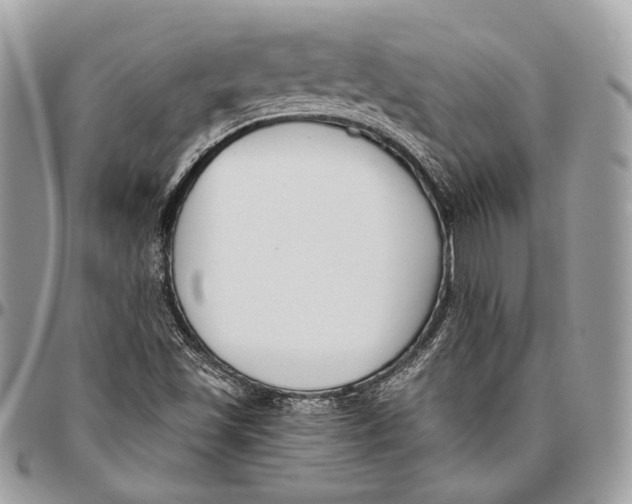 X0000096401501200802141506