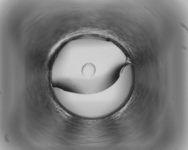 X0000096401502200802141506