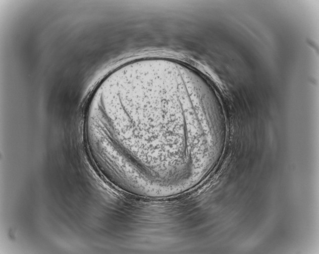 X0000096401504200802141506