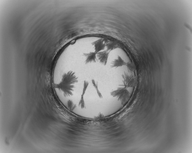 X0000096401505200802141506