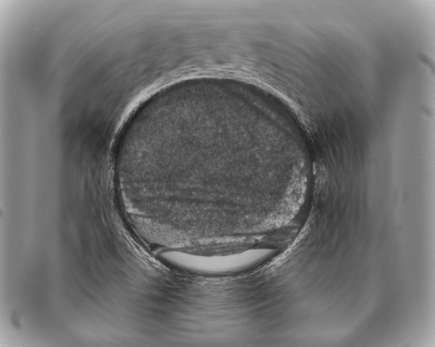 X0000096401506200802141506