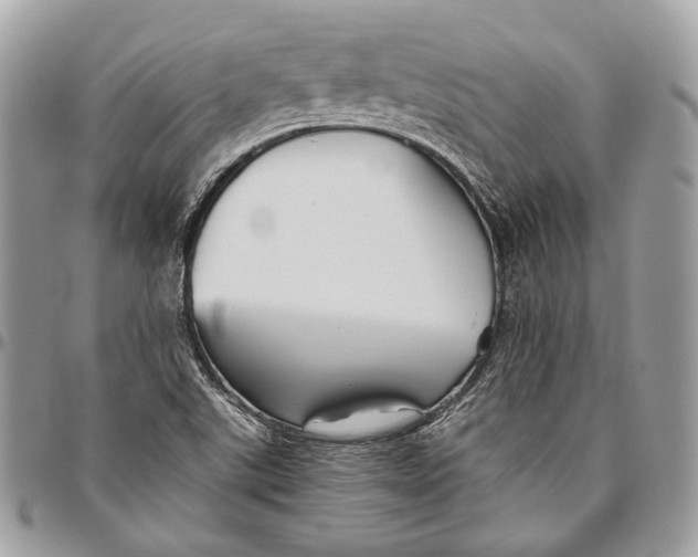 X0000096401507200802141506