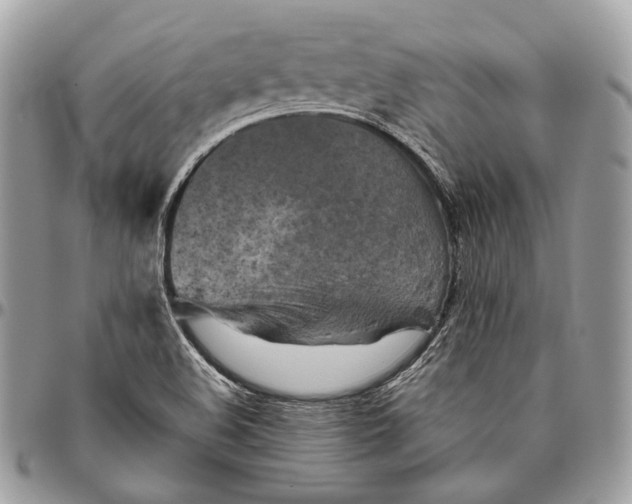 X0000096401508200802141506