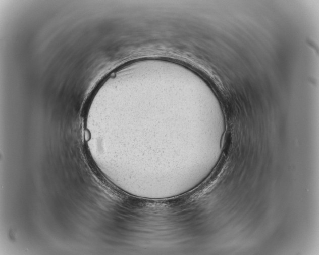 X0000096401509200802141506