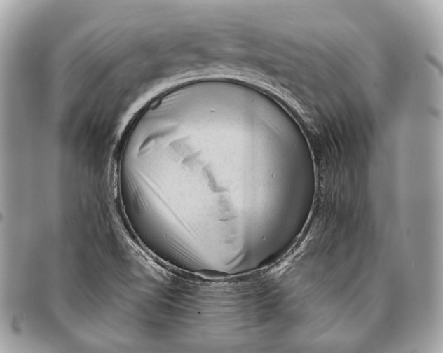 X0000096401510200802141506