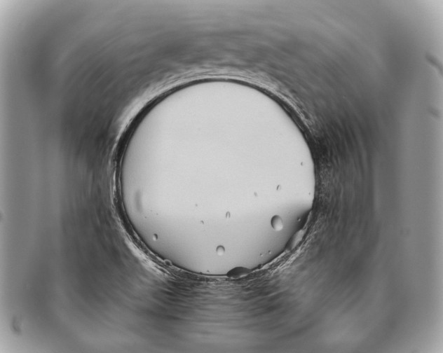 X0000096401511200802141506