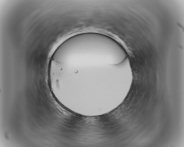 X0000096401512200802141506