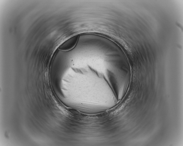 X0000096401513200802141506