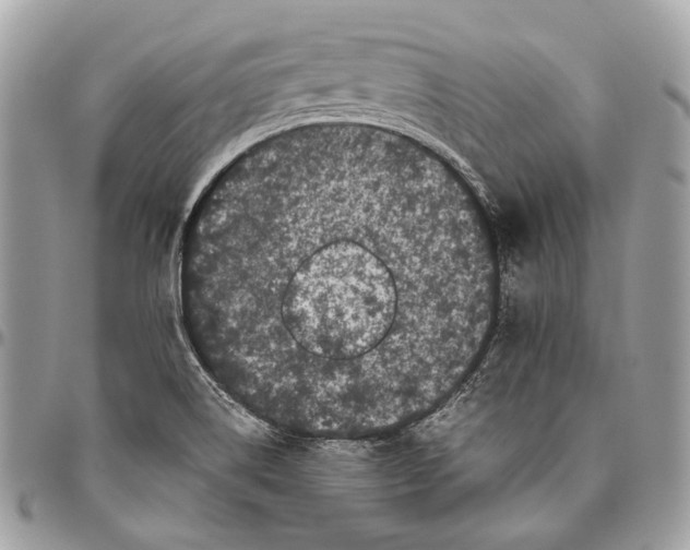 X0000096401514200802141506