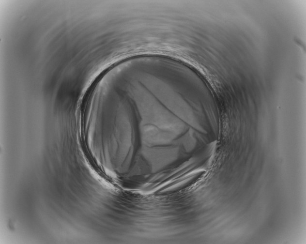 X0000096401515200802141506