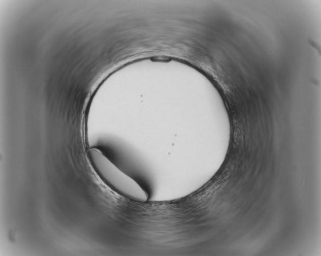 X0000096401516200802141506