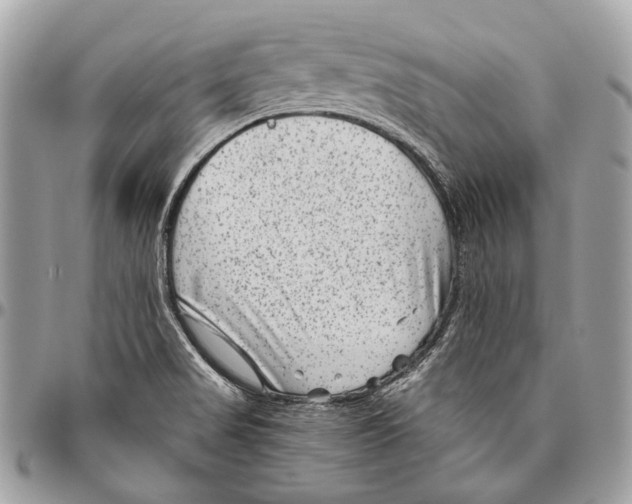 X0000096401517200802141506