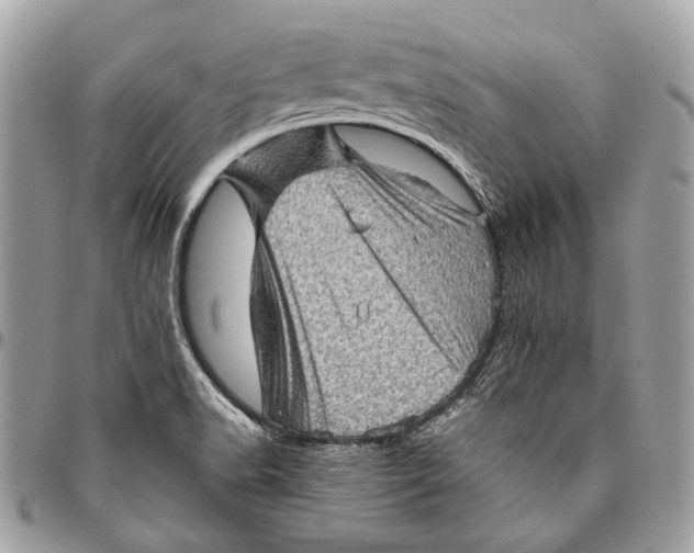 X0000096401518200802141506