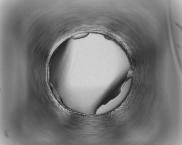 X0000096401520200802141506