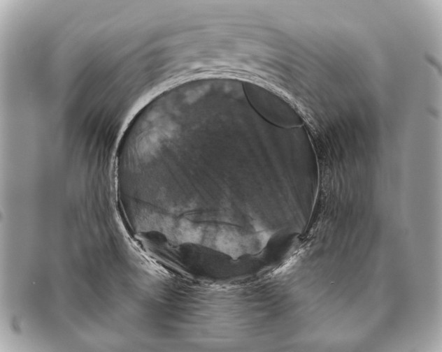 X0000096401522200802141506