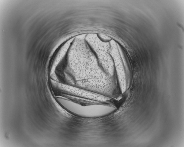 X0000096401523200802141506