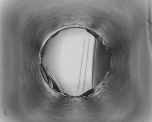 X0000096401524200802141506