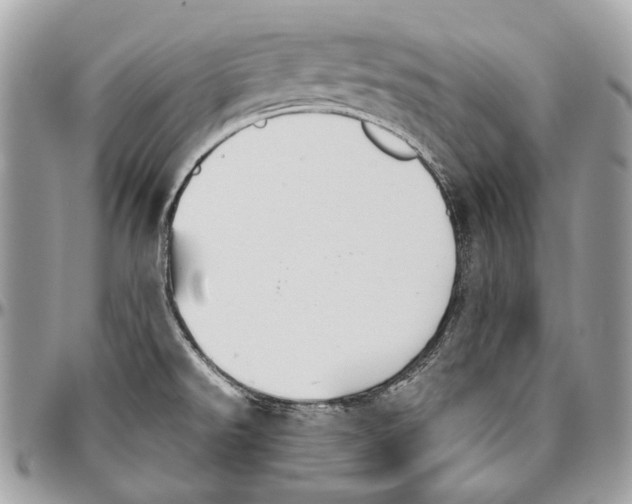 X0000096401526200802141506