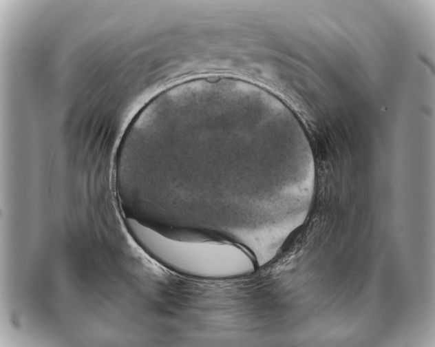 X0000096401527200802141506