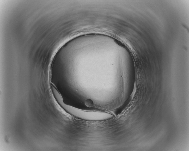 X0000096401528200802141506