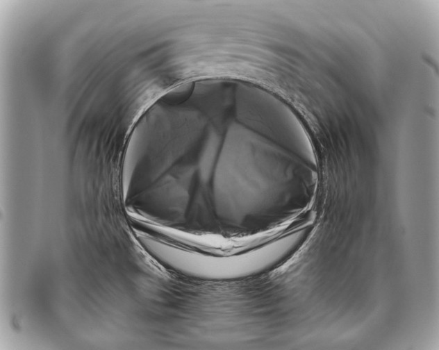 X0000096401529200802141506