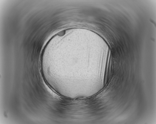 X0000096401531200802141507