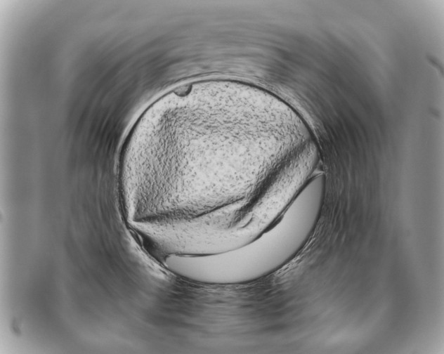 X0000096401532200802141507