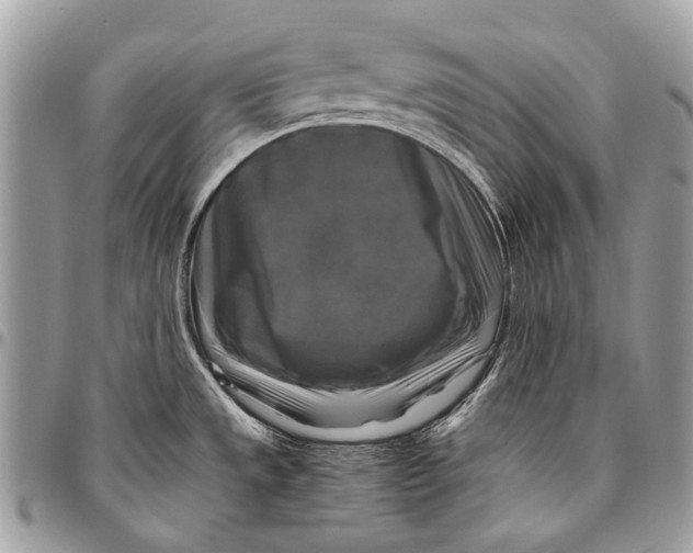 X0000096401533200802141507