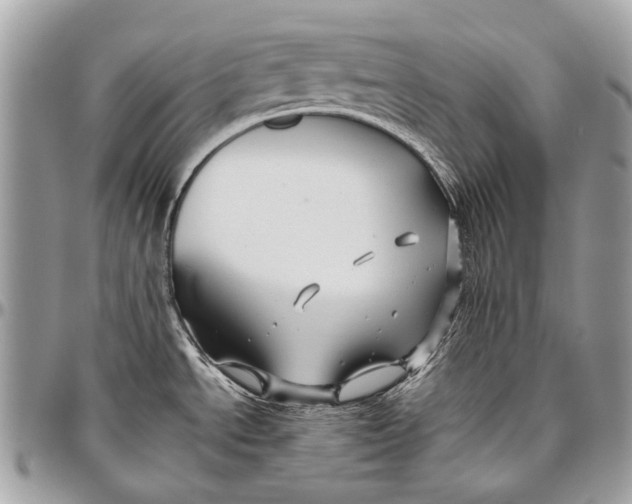 X0000096401534200802141507