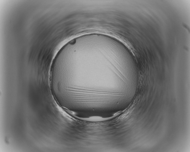 X0000096401535200802141507