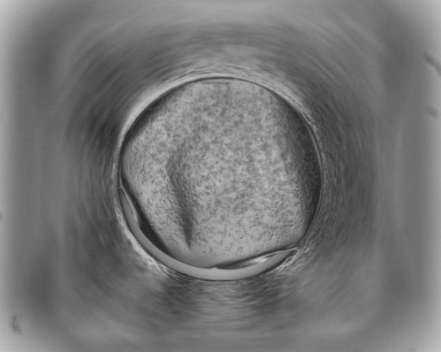 X0000096401536200802141507