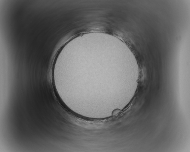 X0000096400004200802211213